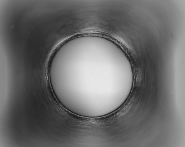 X0000096181358200801180842