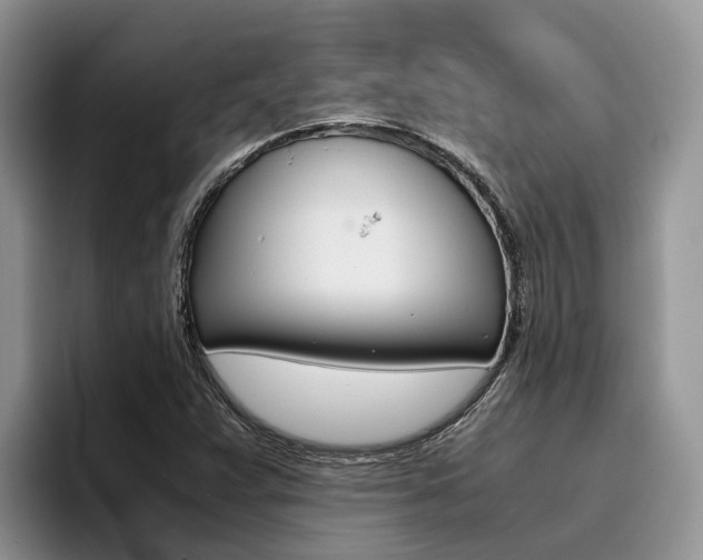 X0000096181359200801180842