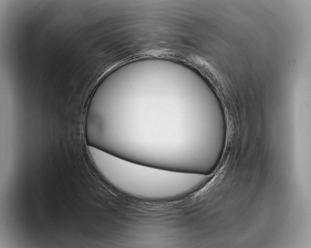 X0000096181361200801180842