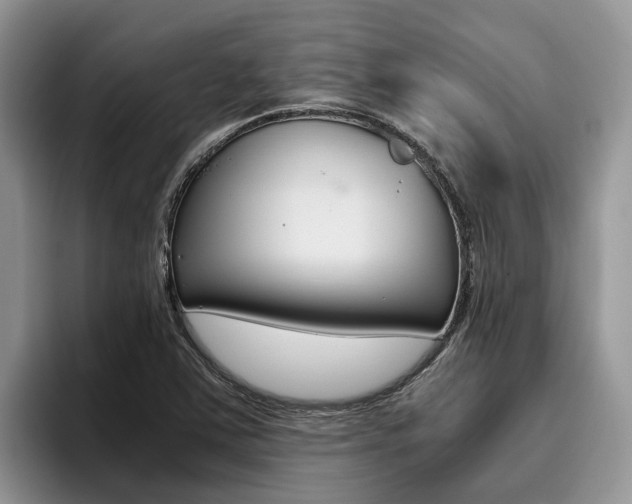 X0000096181363200801180842