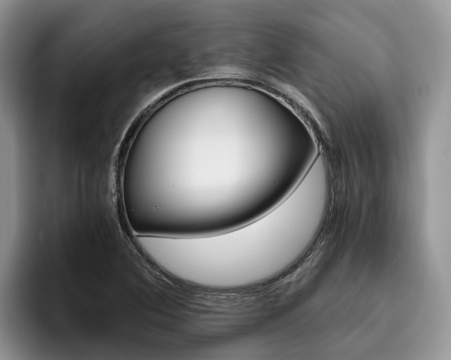 X0000096181364200801180842
