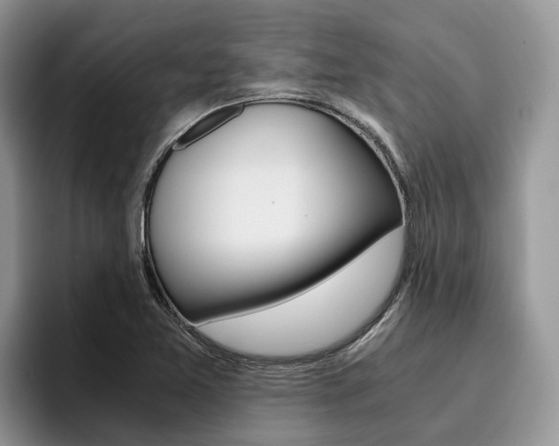 X0000096181365200801180842