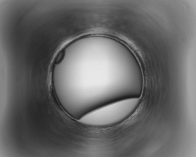 X0000096181366200801180842