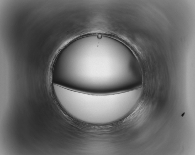 X0000096181367200801180842