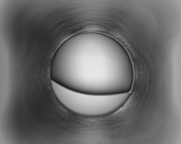 X0000096181369200801180841