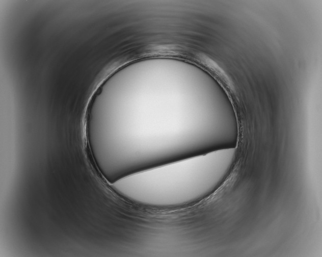 X0000096181370200801180841