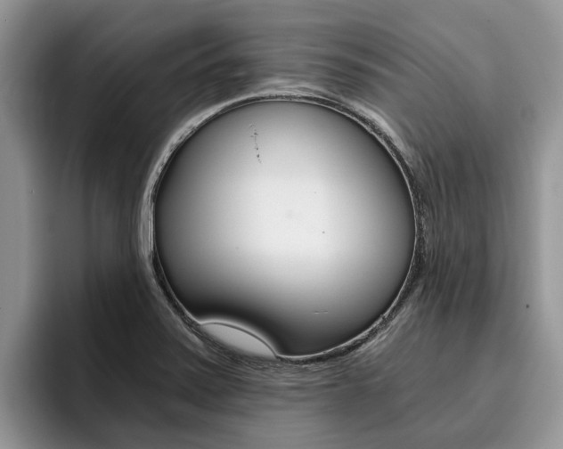 X0000096181371200801180841