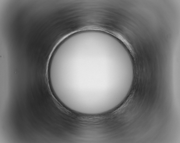 X0000096181372200801180841