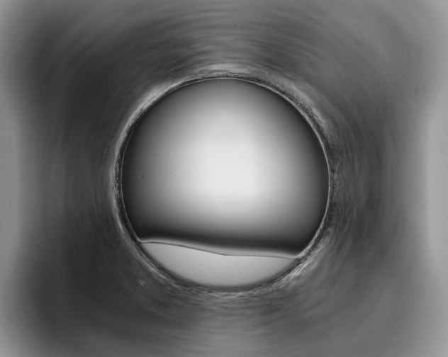 X0000096181373200801180841