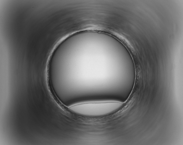 X0000096181375200801180841