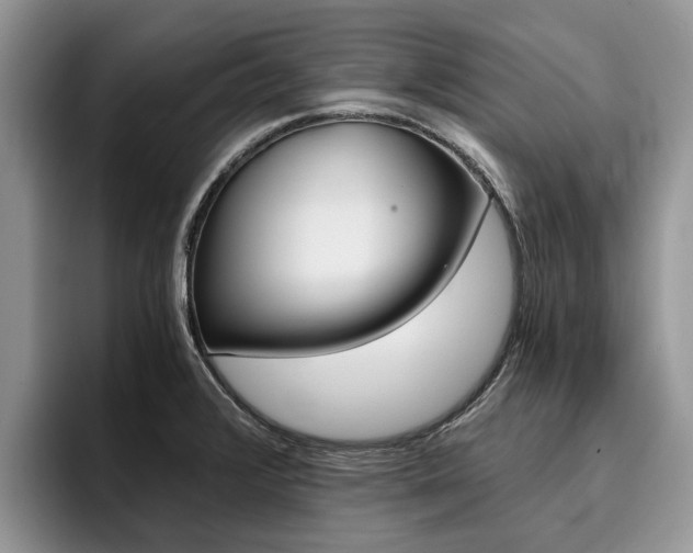 X0000096181376200801180841
