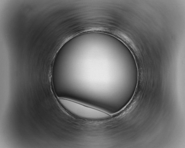 X0000096181377200801180841