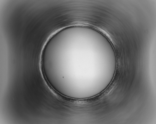 X0000096181379200801180841