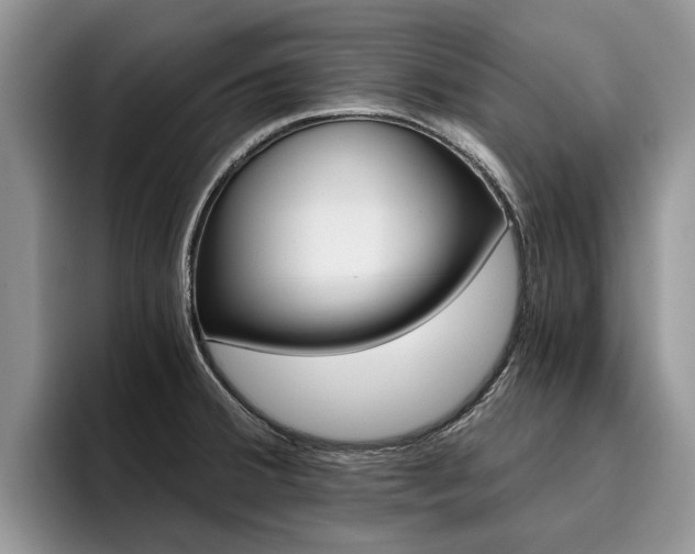 X0000096181380200801180841