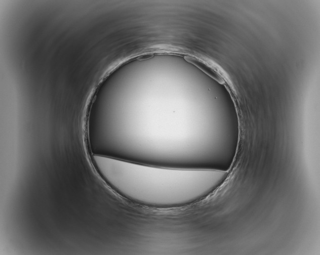 X0000096181381200801180841