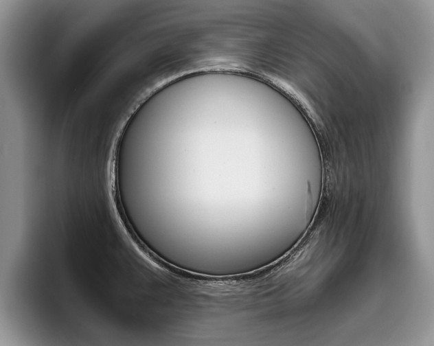 X0000096181383200801180841