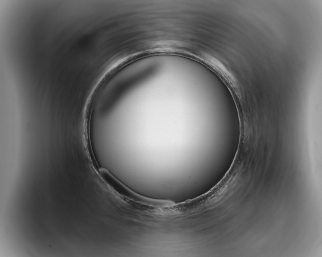 X0000096181384200801180841