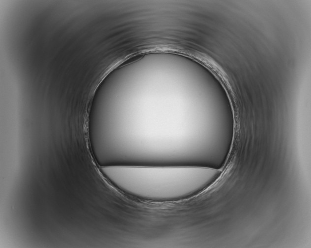 X0000096181385200801180841