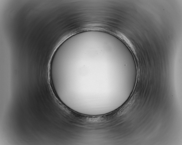 X0000096181386200801180841