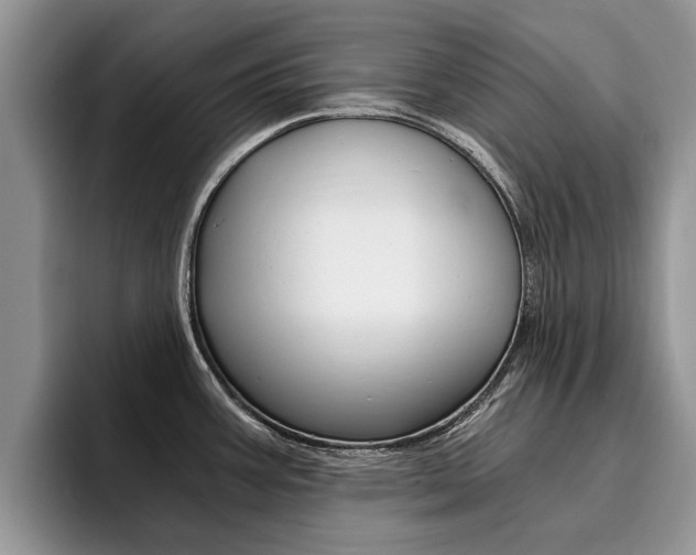 X0000096181387200801180841