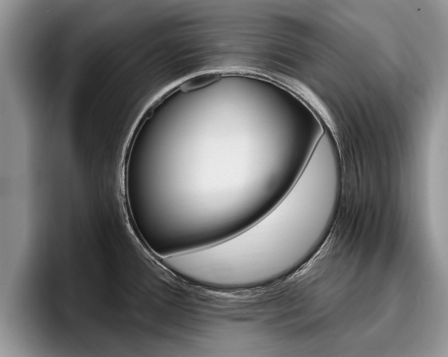 X0000096181388200801180841