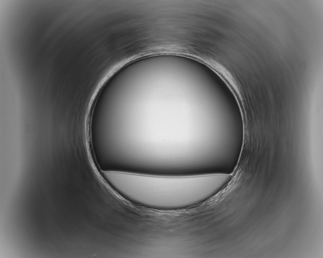X0000096181389200801180841