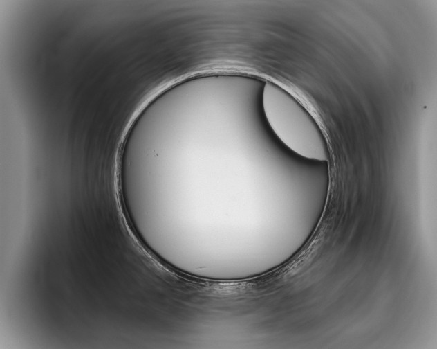X0000096181390200801180841