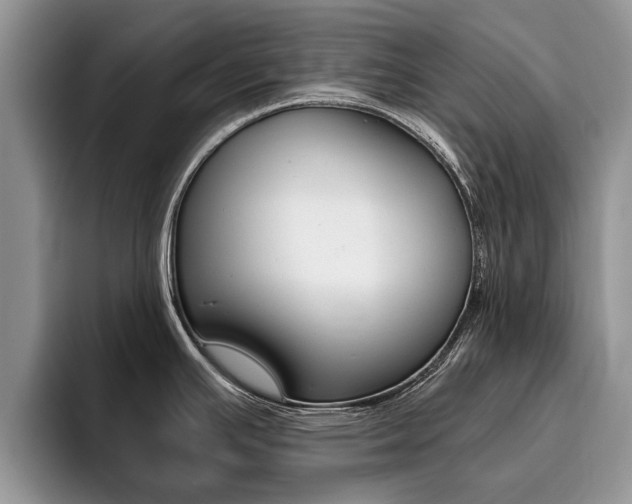 X0000096181391200801180841