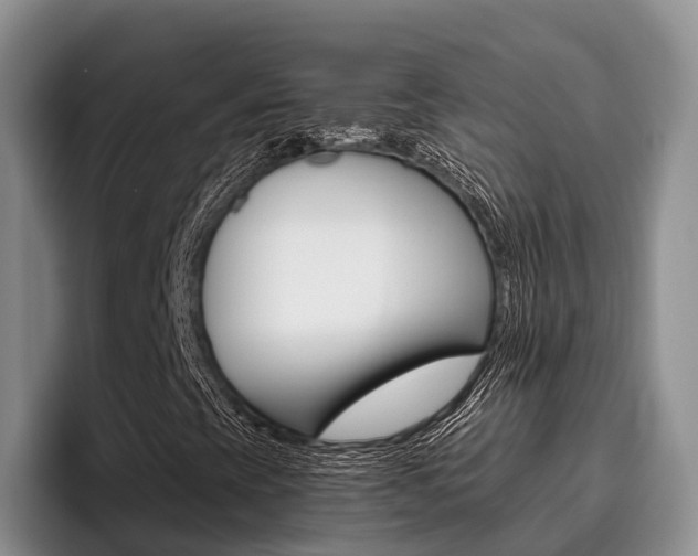 X0000096181393200801180841
