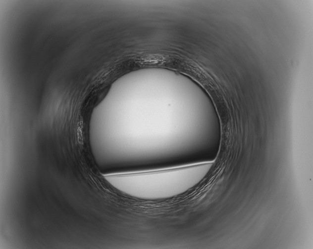 X0000096181394200801180841