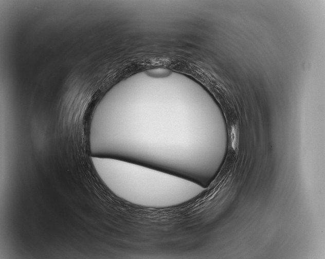 X0000096181395200801180841