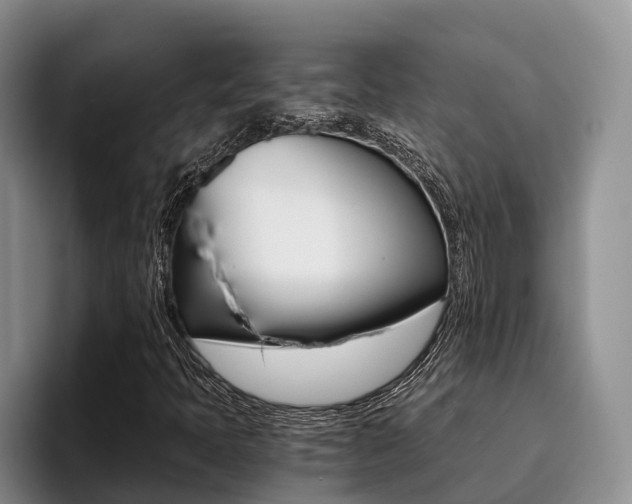 X0000096181397200801180841