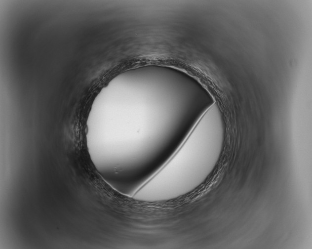 X0000096181398200801180841