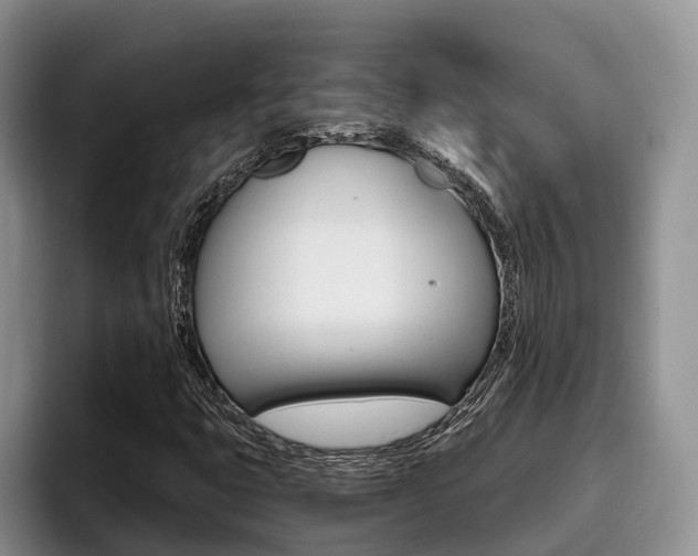 X0000096181399200801180841