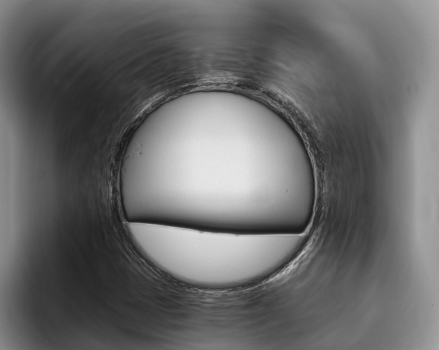X0000096181401200801180841
