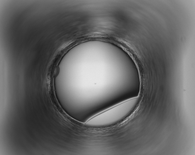 X0000096181402200801180841