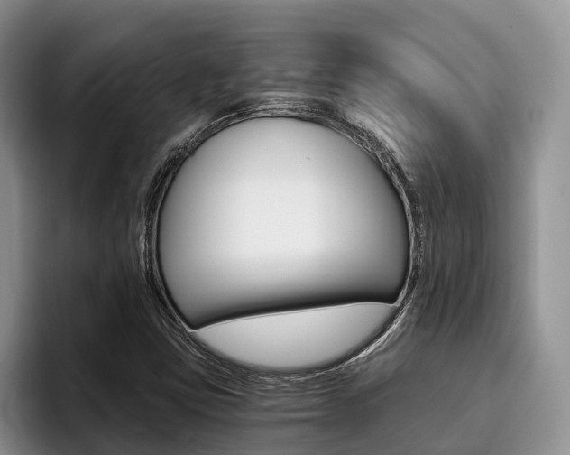 X0000096181403200801180841