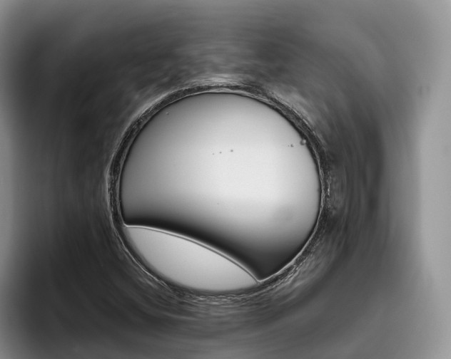 X0000096181404200801180841