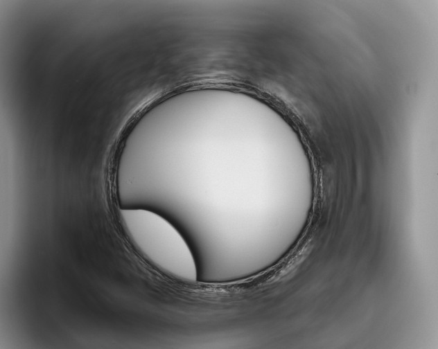 X0000096181405200801180841