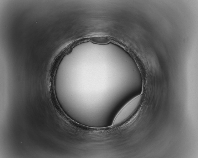 X0000096181406200801180841