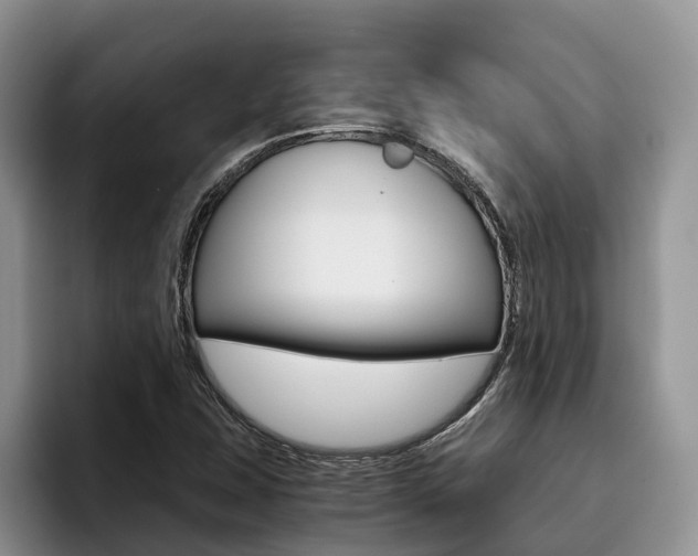 X0000096181407200801180841