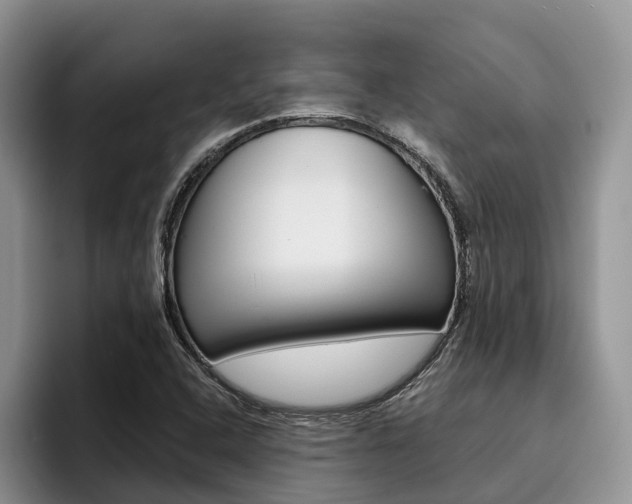 X0000096181408200801180841