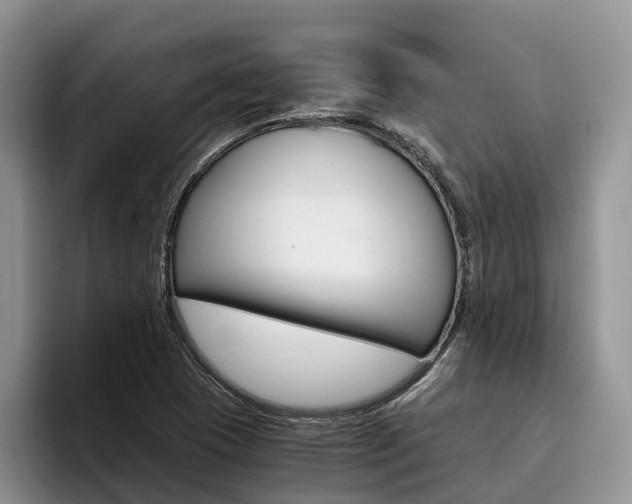 X0000096181409200801180841