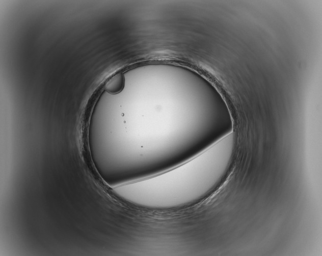 X0000096181410200801180841