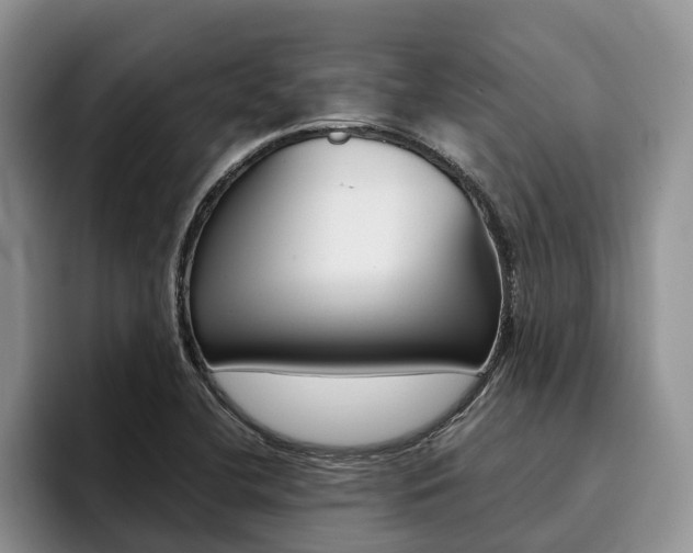 X0000096181412200801180841