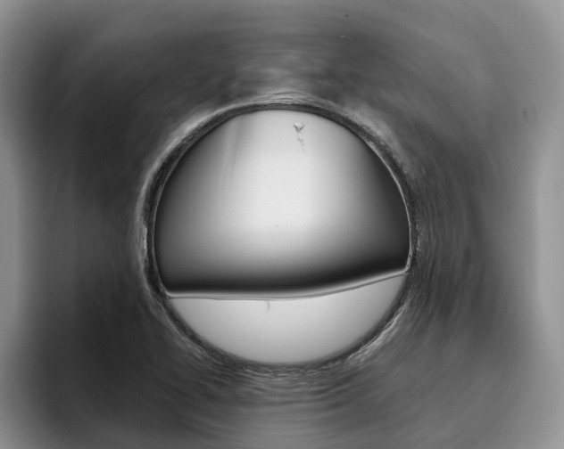 X0000096181414200801180841