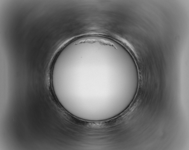 X0000096181415200801180841