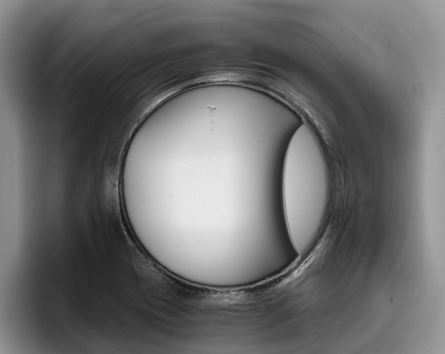 X0000096181417200801180841