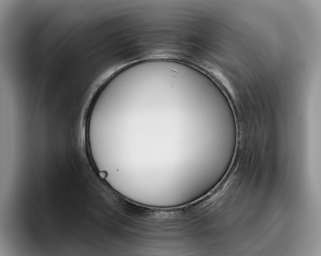 X0000096181419200801180841