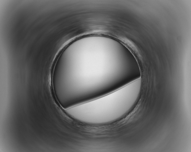 X0000096181420200801180841